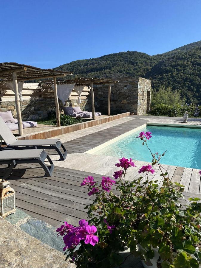 Chambres D'Hotes Et Studios De Charme - A Mandria Murato ภายนอก รูปภาพ